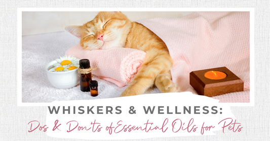 Whiskers and Wellness: The Dos and Don'ts of Essential Oils for Pets