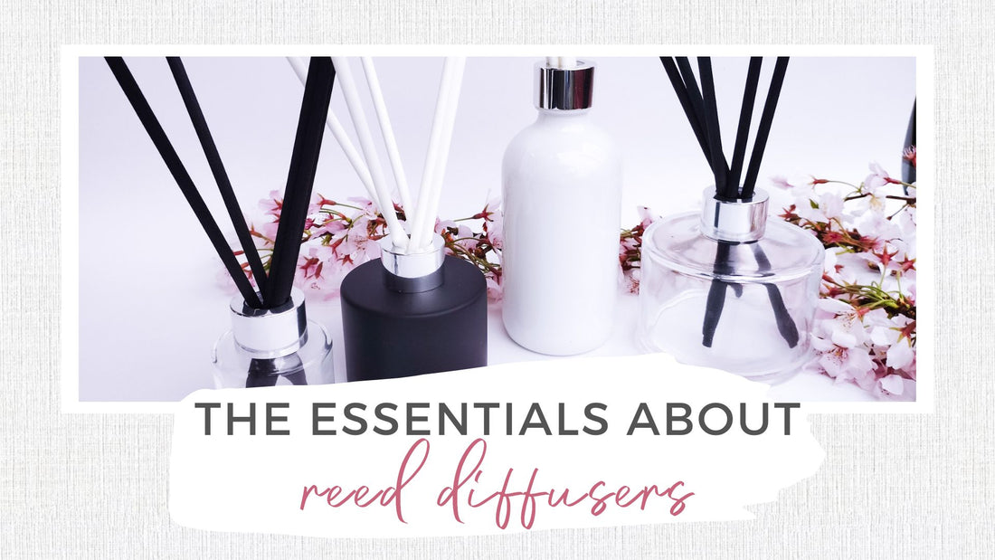 All You Need to Know About Reed Diffusers