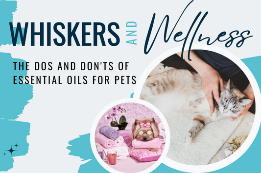 Whiskers and Wellness: The Dos and Don'ts of Essential Oils for Pets